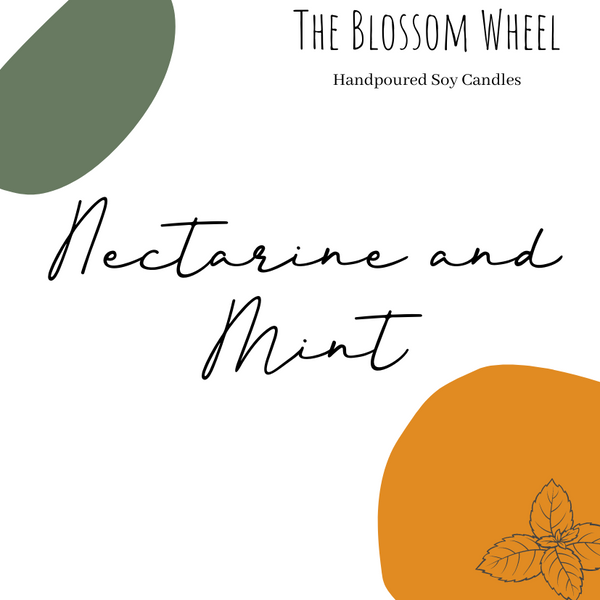 Nectarine and Mint - Medium